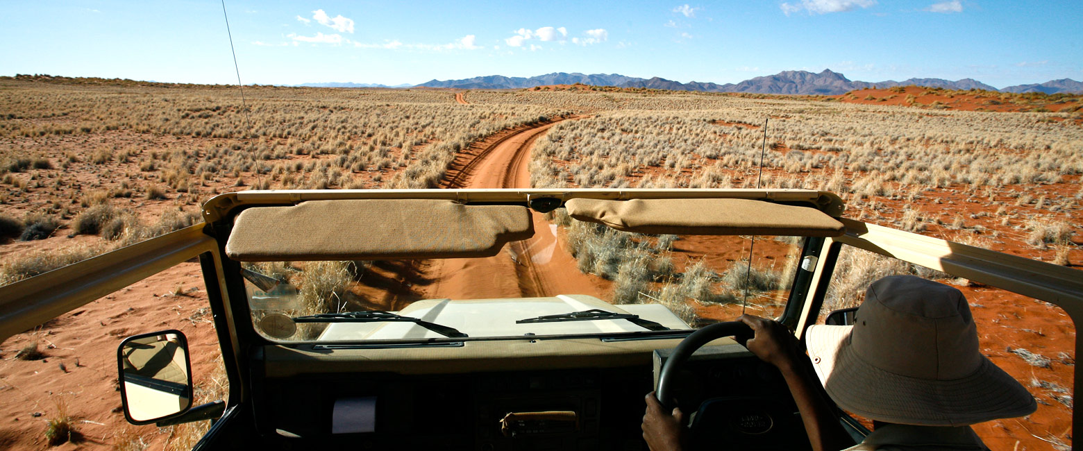 let us know your thoughts about Namibia and we will help you create the perfect safari 