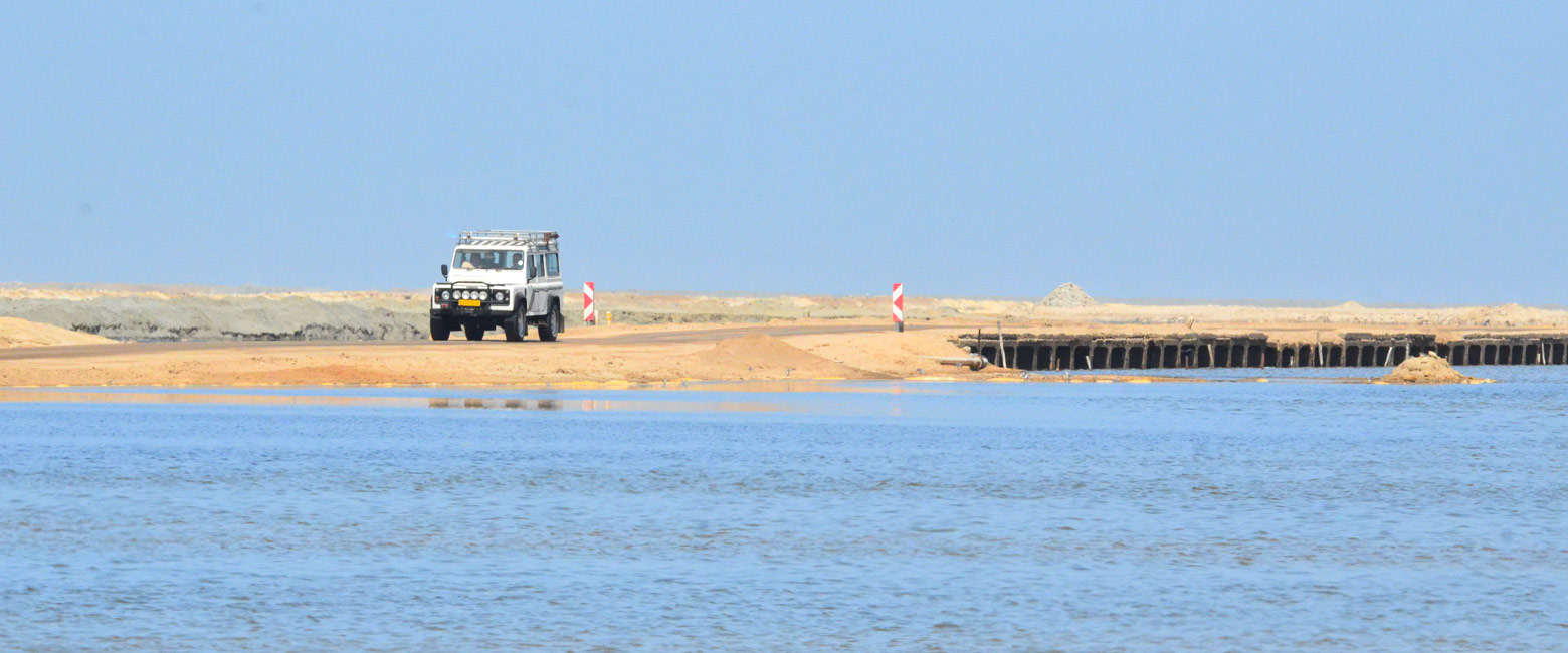 let us know your thoughts about Namibia and we will help you create the perfect safari