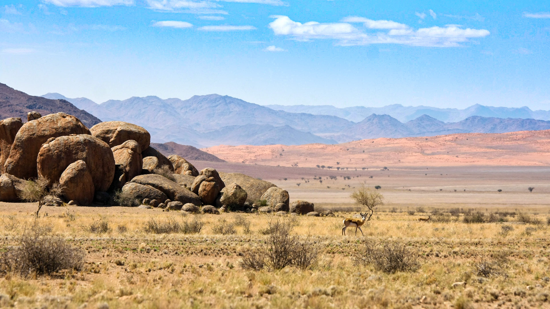 Barchan Dune Retreat