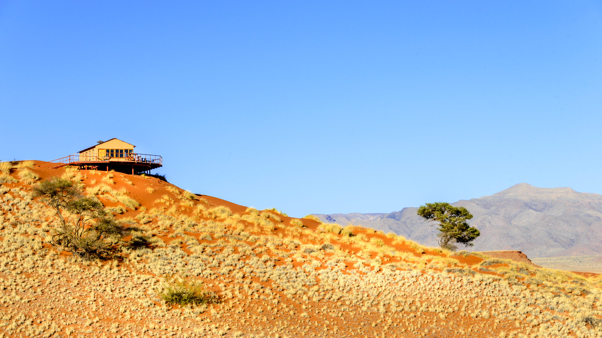 Namib Dune Star Camp