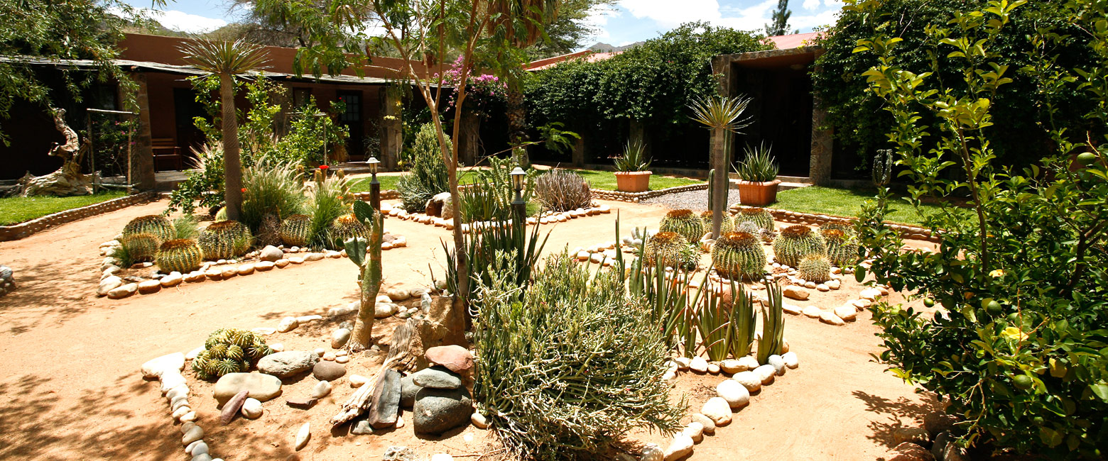 let us know your thoughts about Namibia and we will make sure to deliver the perfect safari