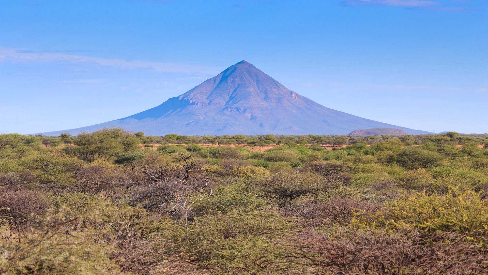 Safari to Otjiwarongo
