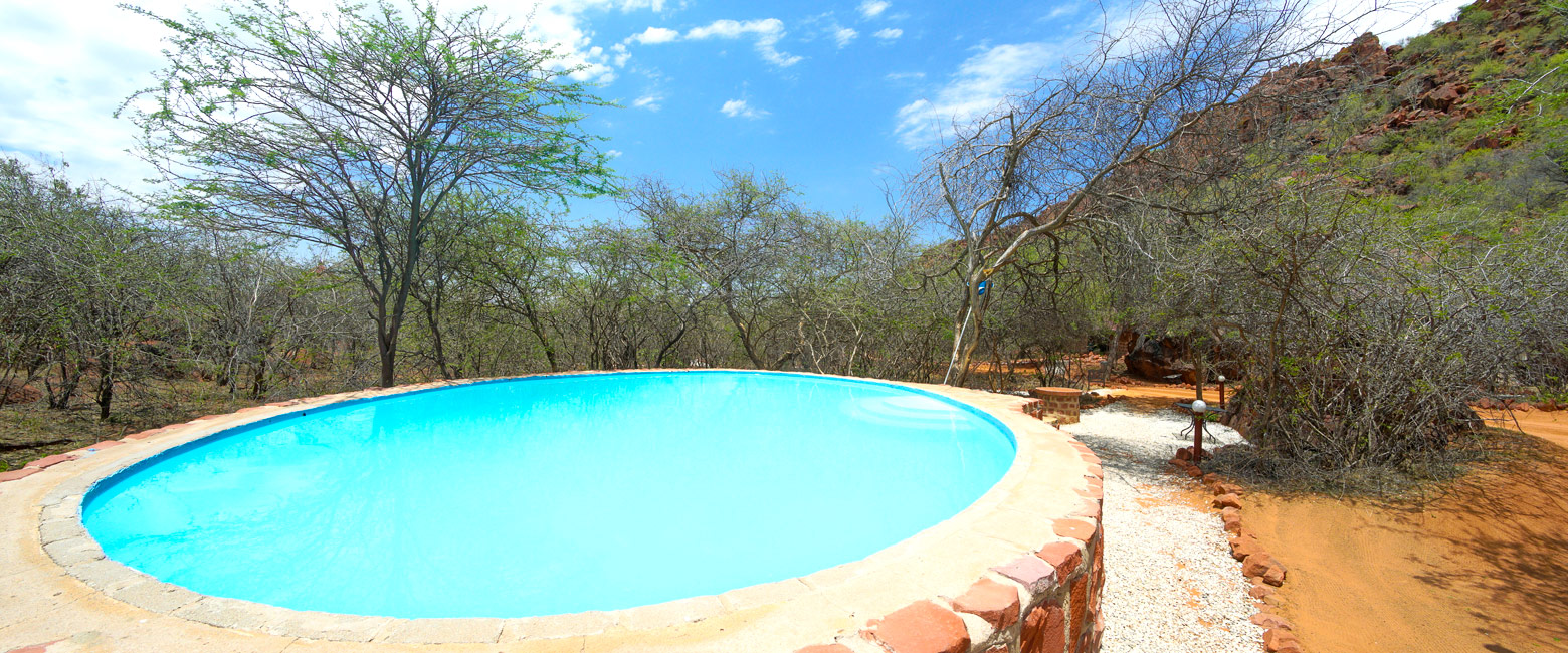 let us know your thoughts about Namibia and we will make sure to deliver the perfect safari 