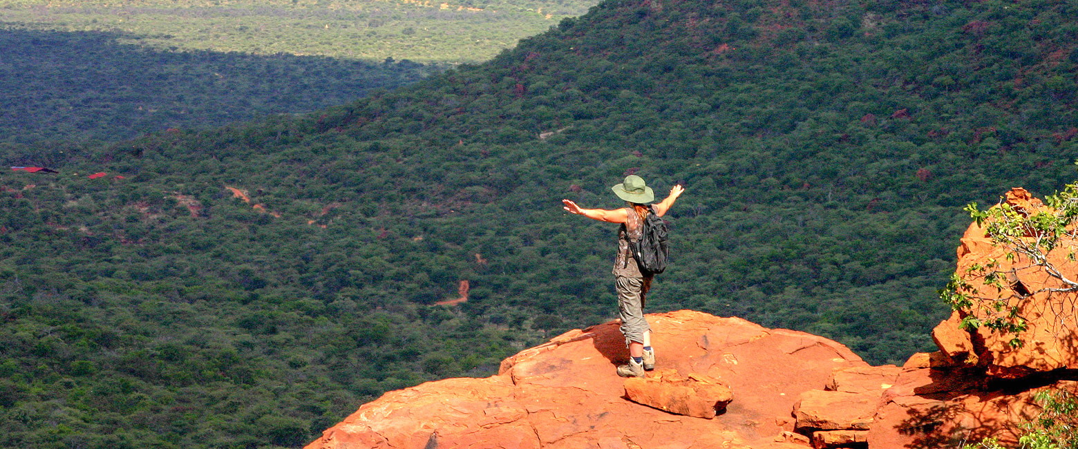 let us know your thoughts about Namibia and we will make sure to deliver the perfect safari