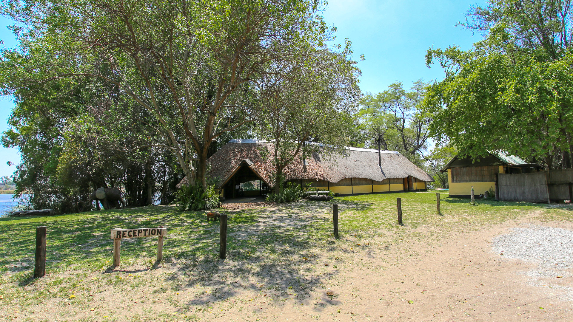 Ndhovu Lodge