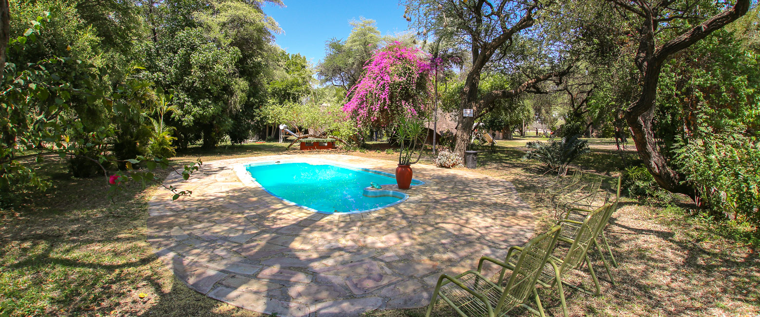 let us know your thoughts about Namibia and we will make sure to deliver the perfect safari 