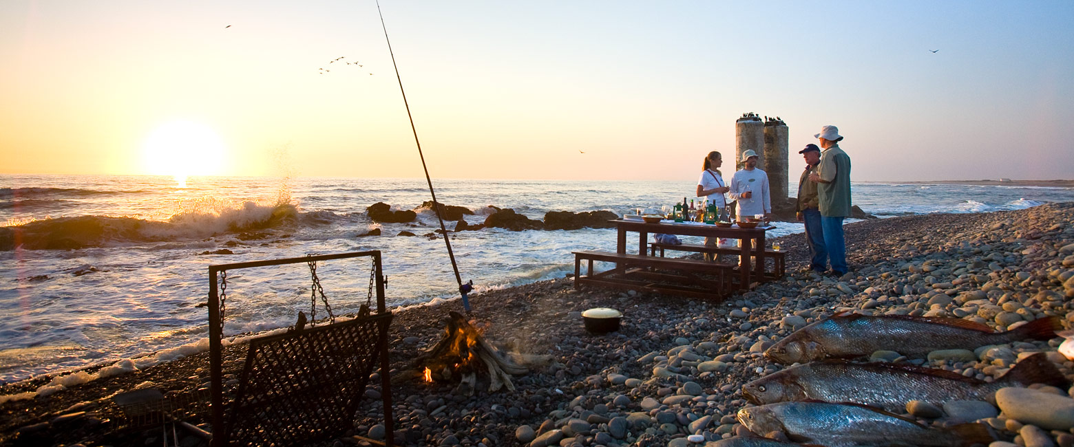 let us know your thoughts about Namibia and we will help you create the perfect safari 