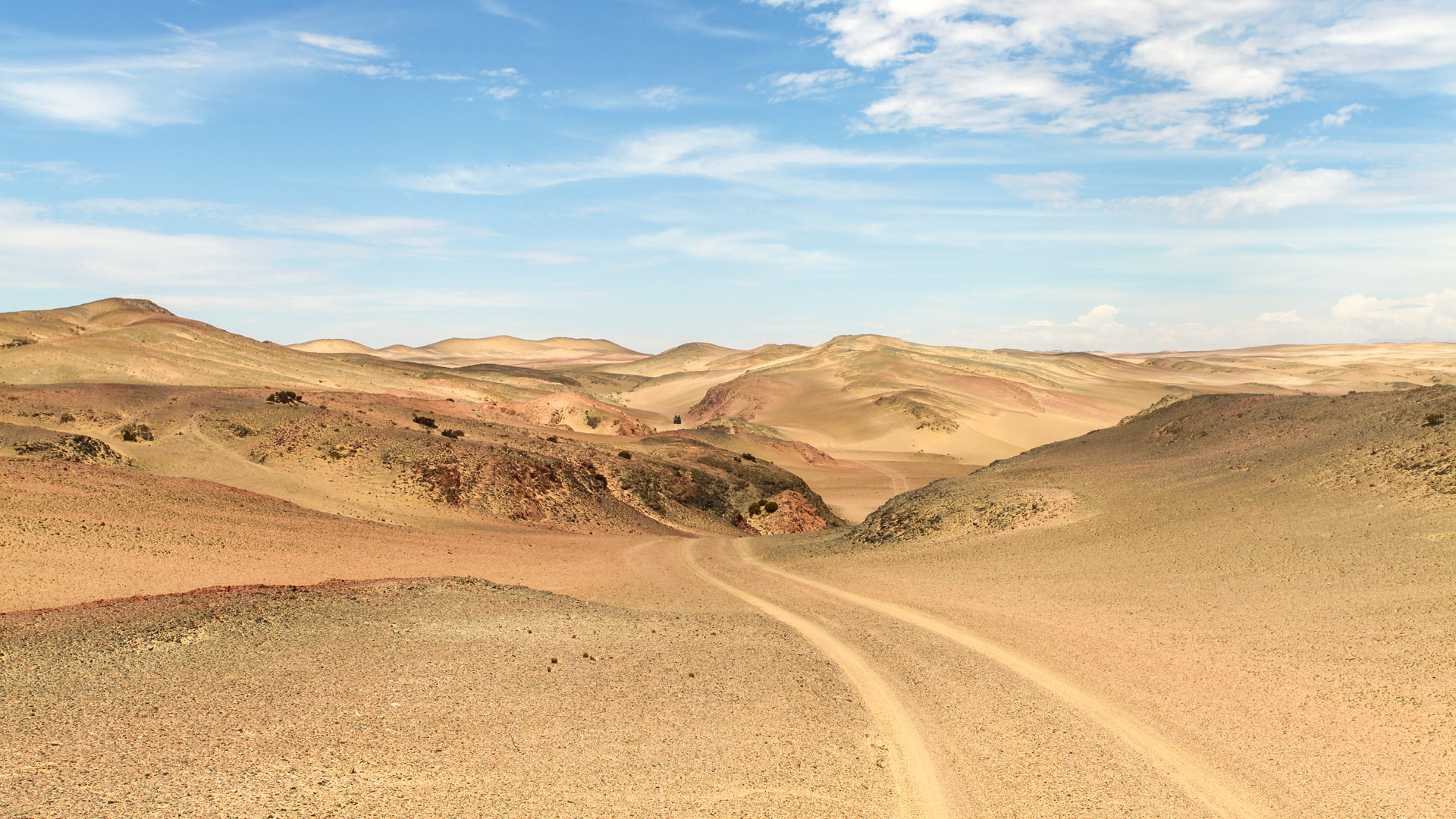 Safari to the Skeleton Coast