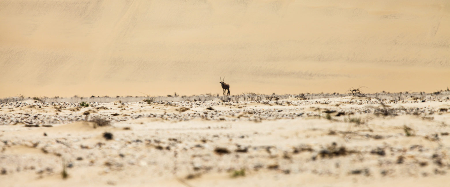 is the greatest wilderness area in the whole of Southern Africa