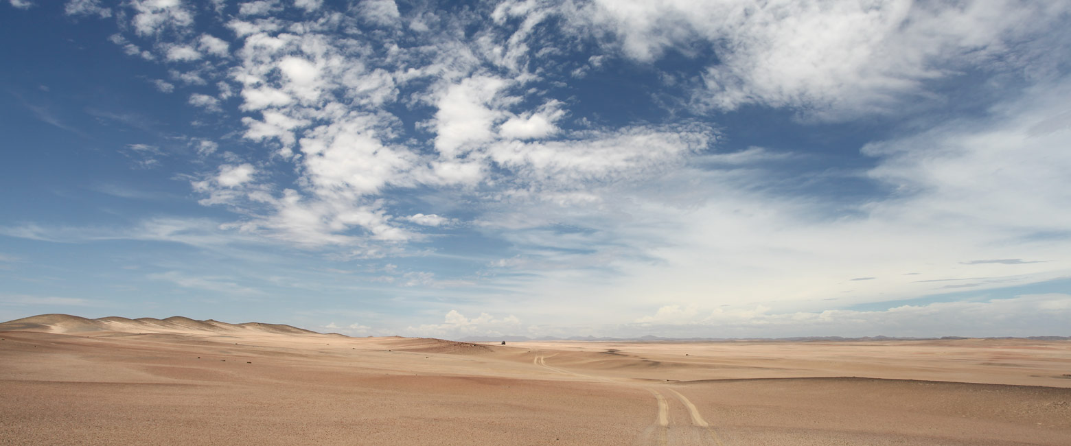 let us know your thoughts about Namibia and we will help you create the perfect safari 