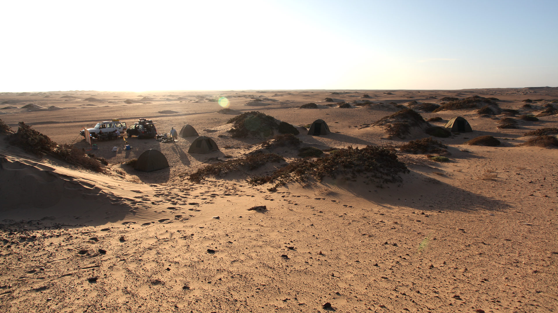 Sarusas Bivouac