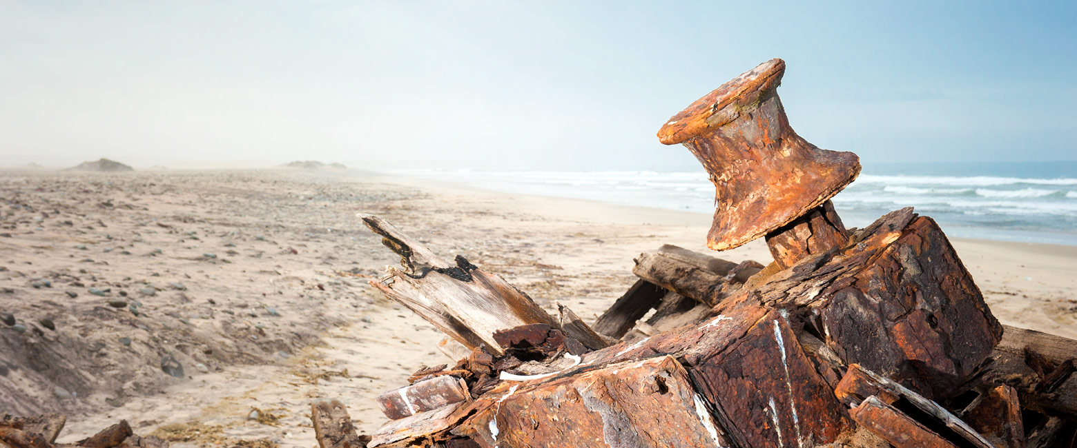 let us know your thoughts about Namibia and we will help you create the perfect safari
