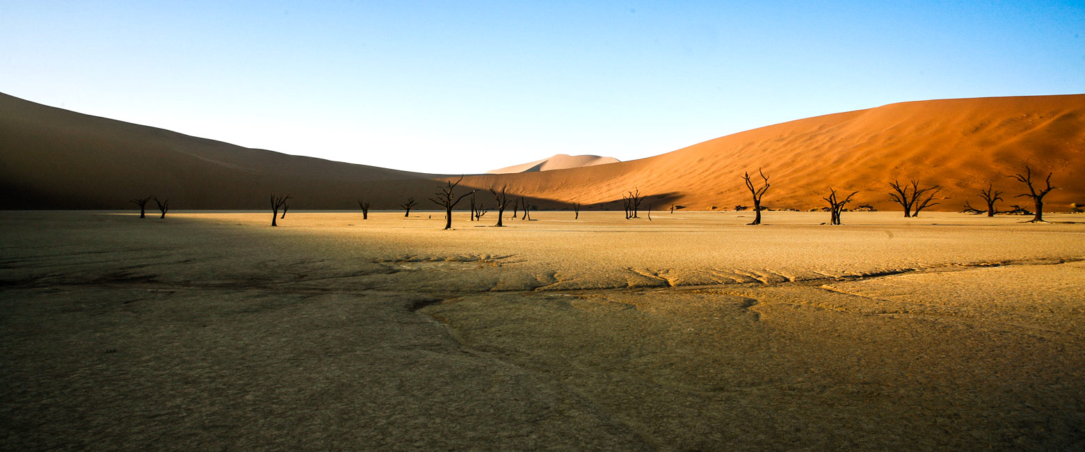 let us know your thoughts about Namibia and we will help you create the perfect safari 