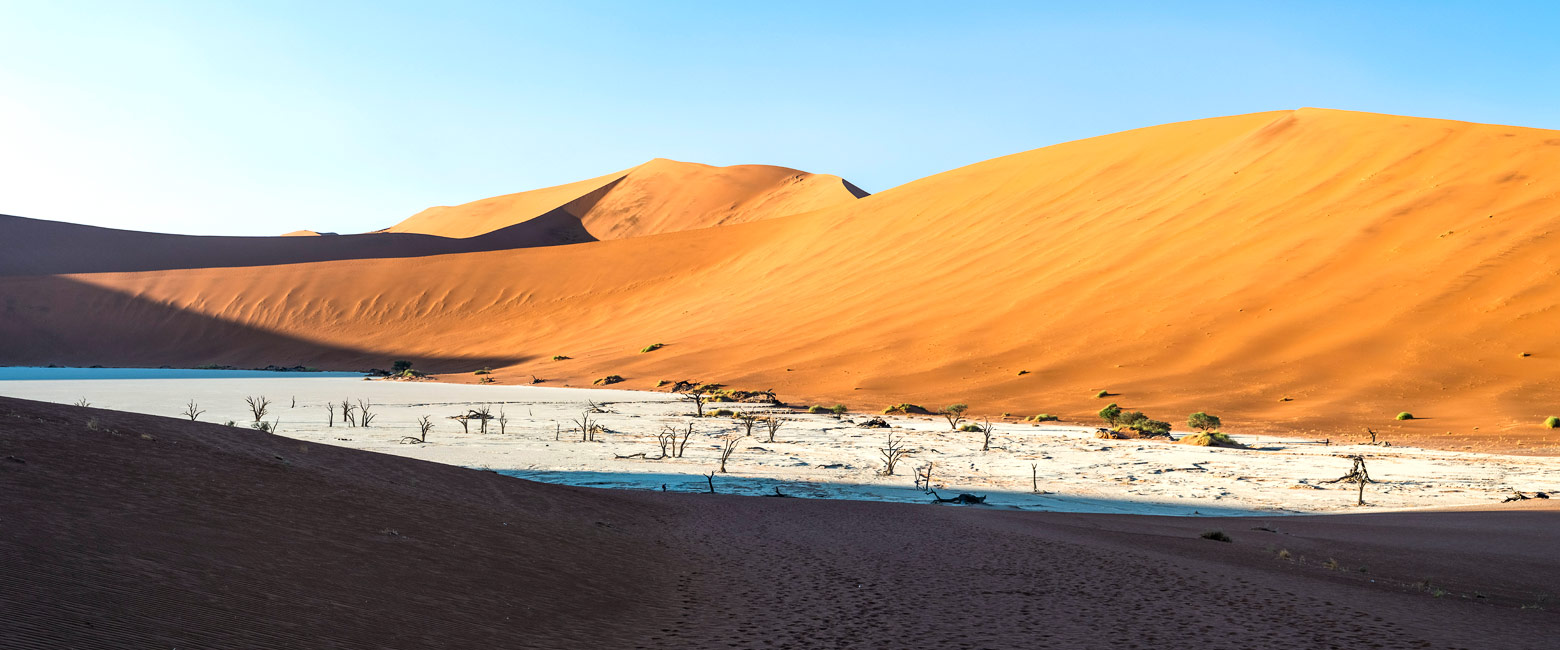 let us know your thoughts about Namibia and we will help you create the perfect safari 