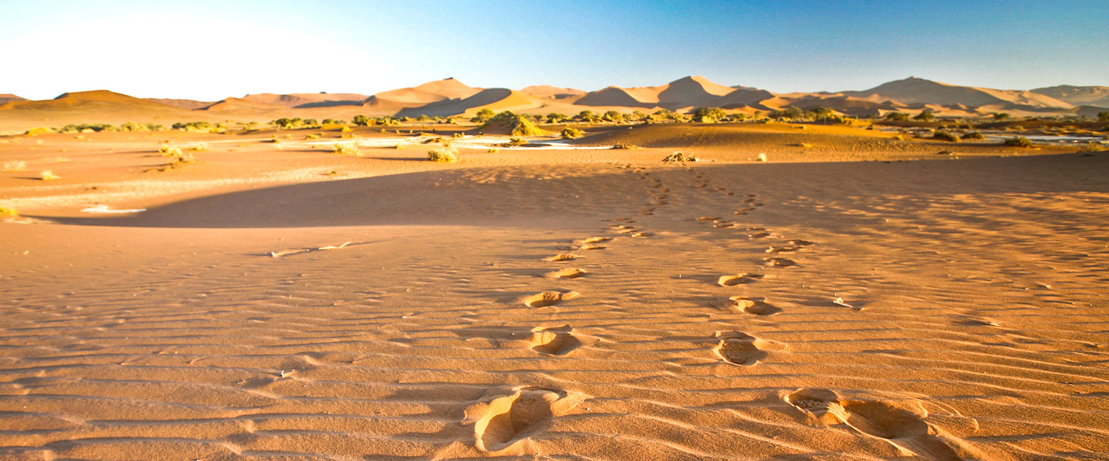 let us know your thoughts about Namibia and we will help you create the perfect safari