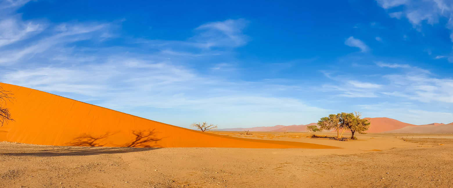 let us know your thoughts about Namibia and we will help you create the perfect safari