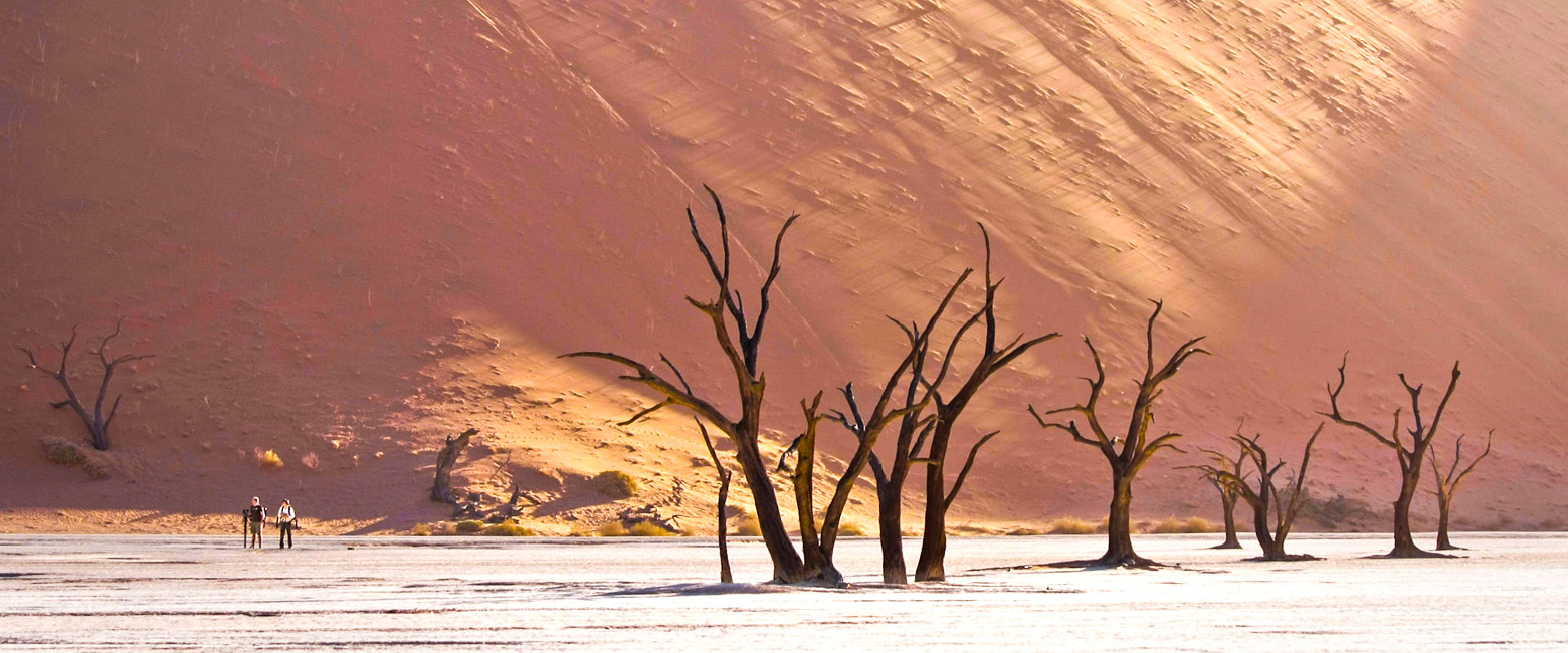 let us know your thoughts about Namibia and we will help you create the perfect safari