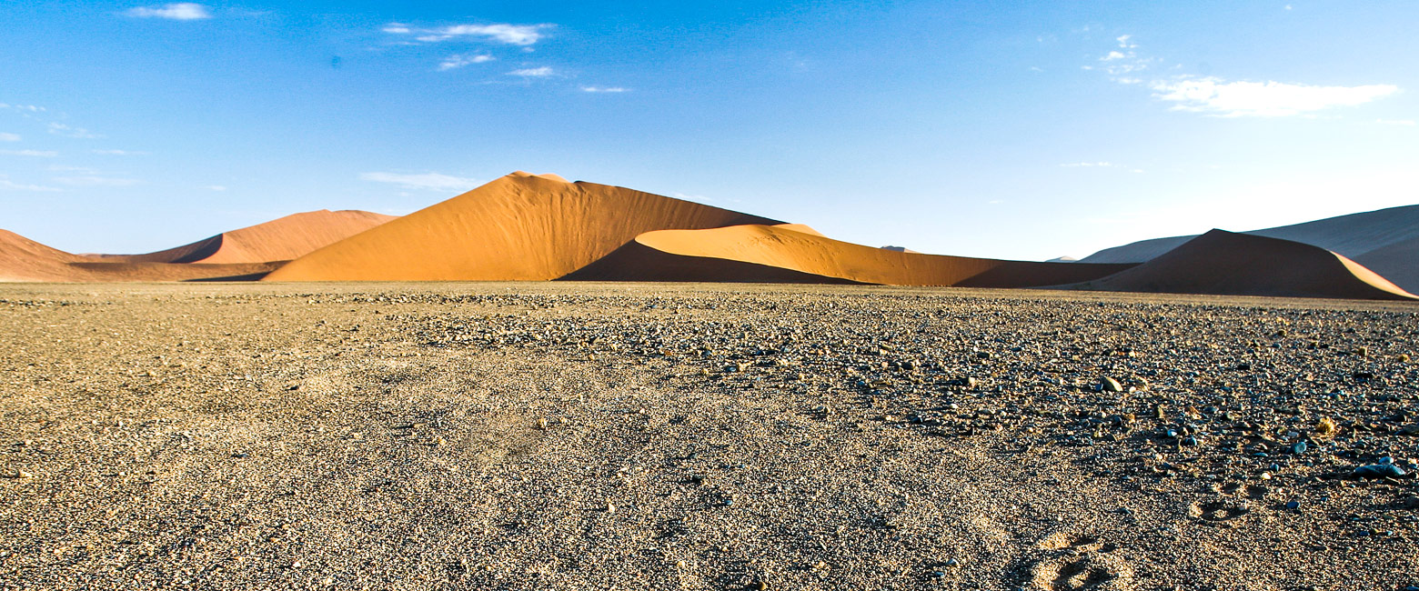 let us know your thoughts about Namibia and we will help you create the perfect safari