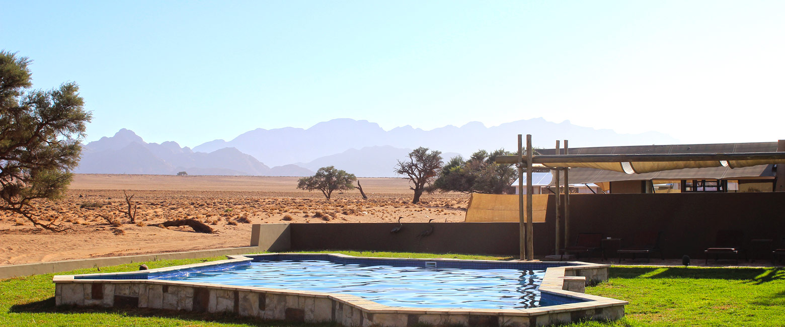 let us know your thoughts about Namibia and we will make sure to deliver the perfect safari