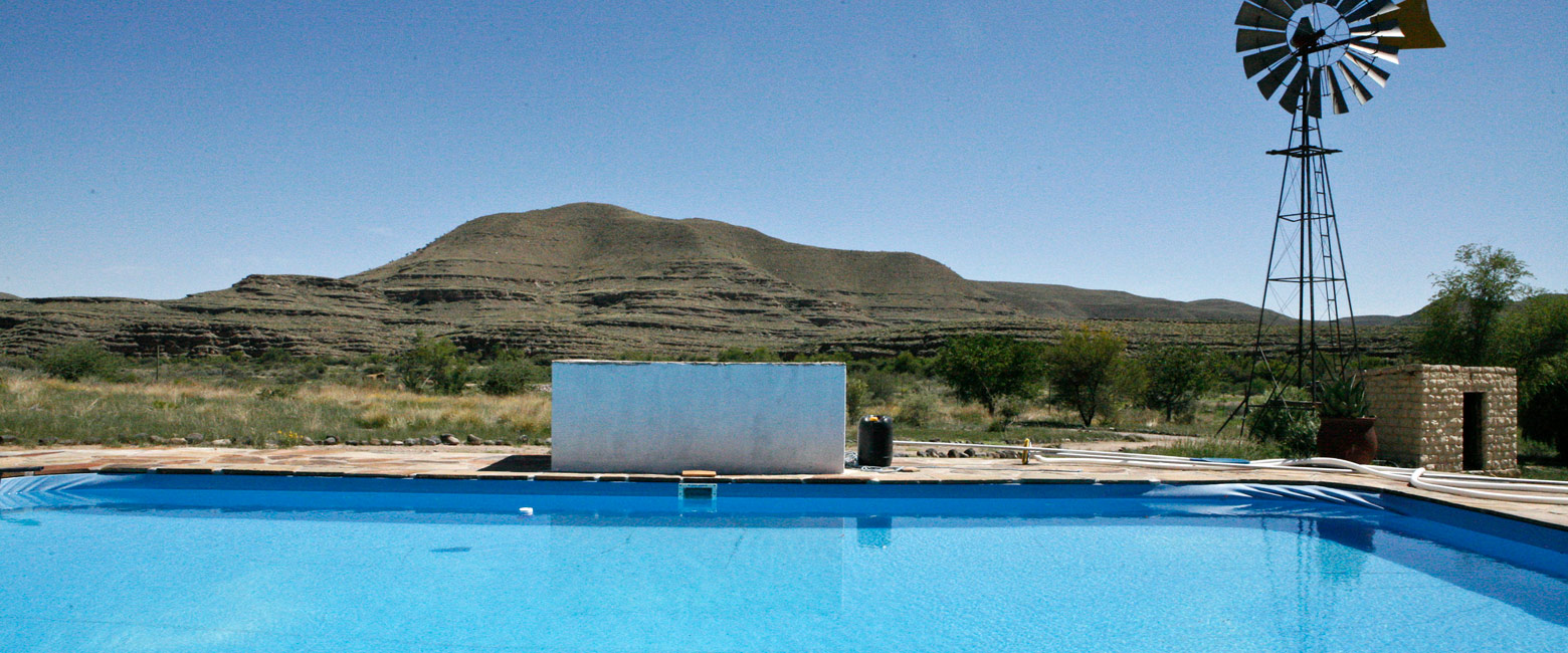 let us know your thoughts about Namibia and we will make sure to deliver the perfect safari