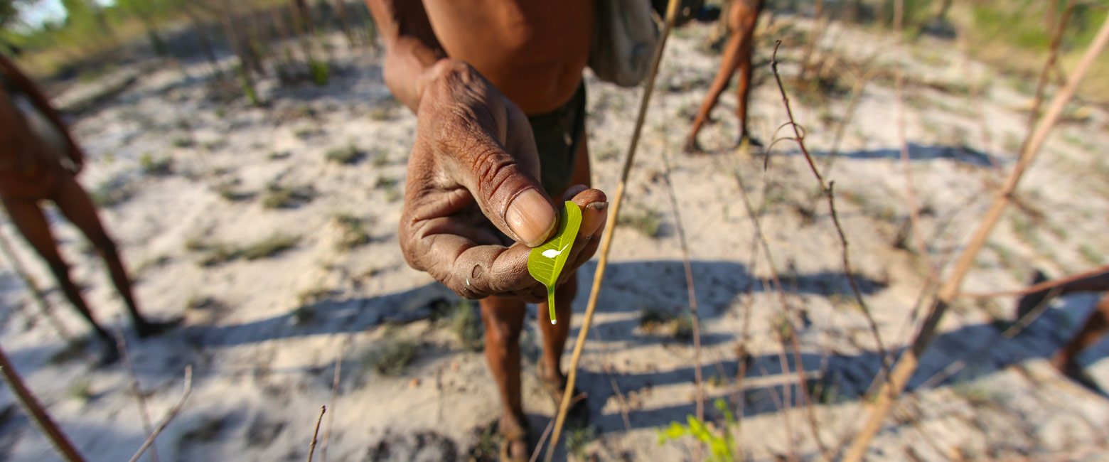 let us know your thoughts about Namibia and we will help you create the perfect safari