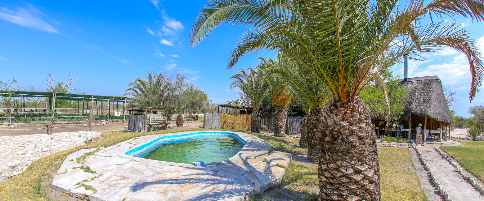 let us know your thoughts about Namibia and we will make sure to deliver the perfect safari