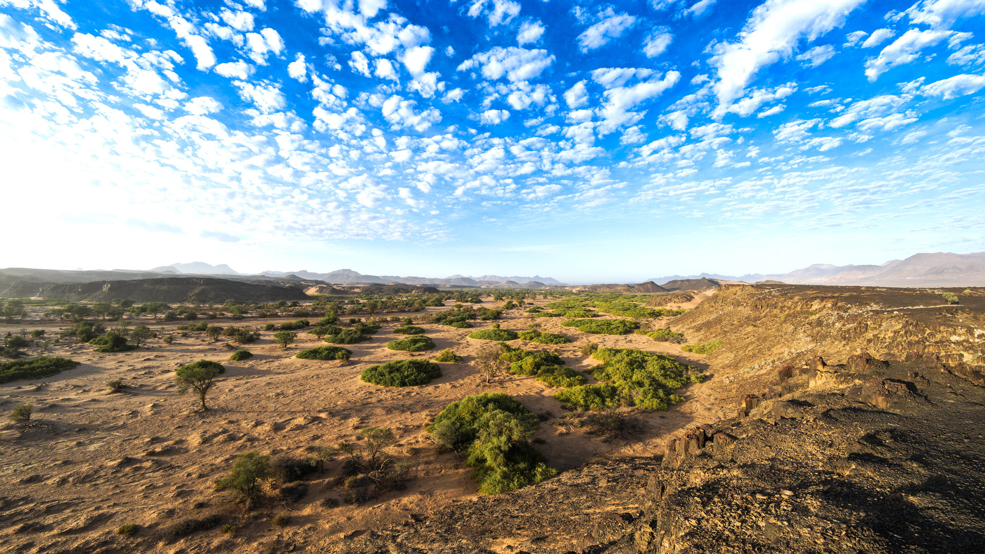 Safari to Twyfelfontein