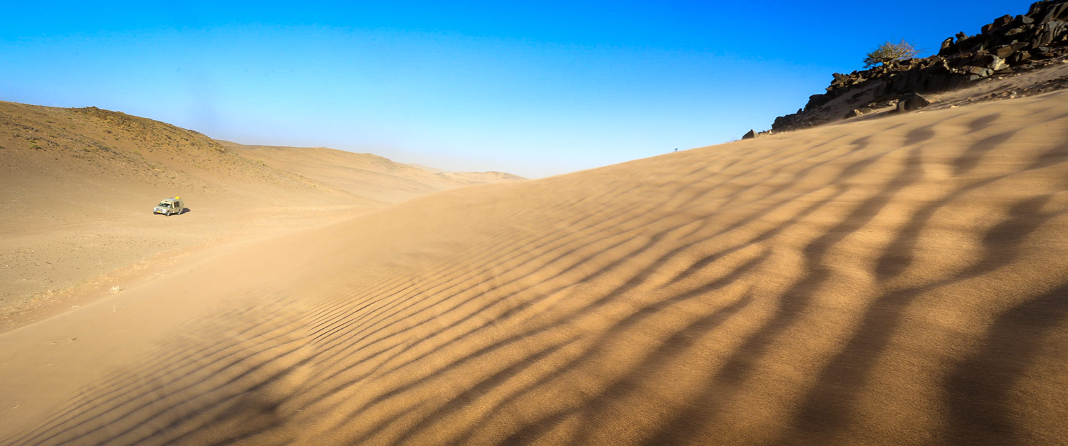 let us know your thoughts about Namibia and we will help you create the perfect safari 