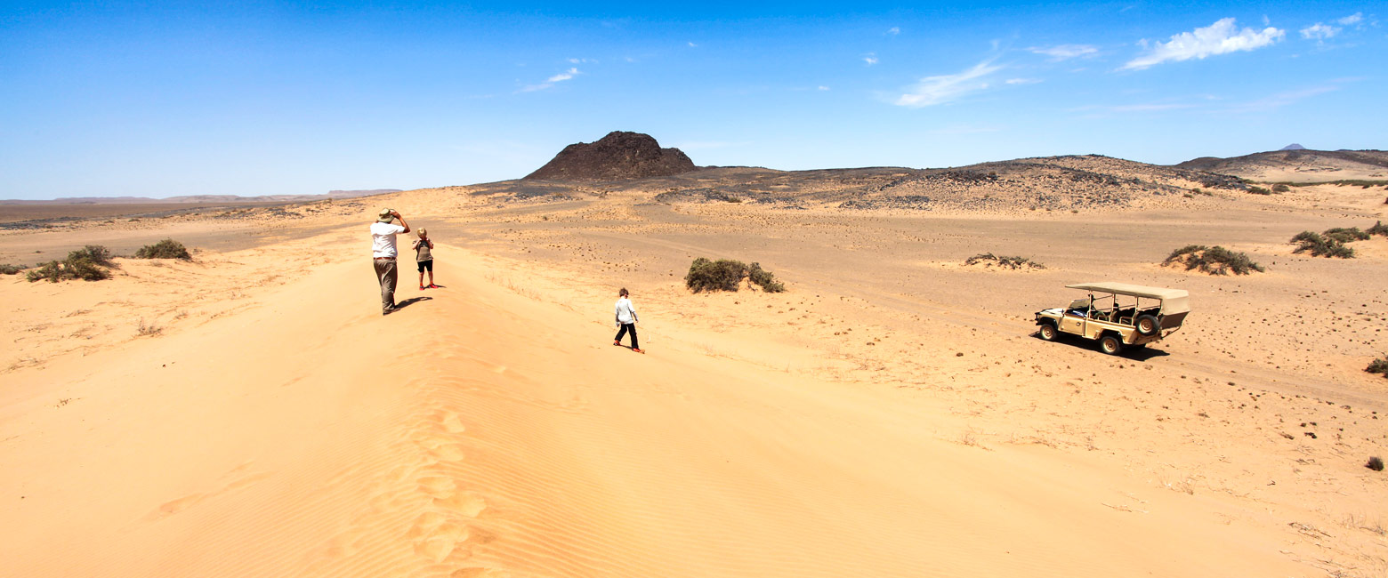 let us know your thoughts about Namibia and we will help you create the perfect safari