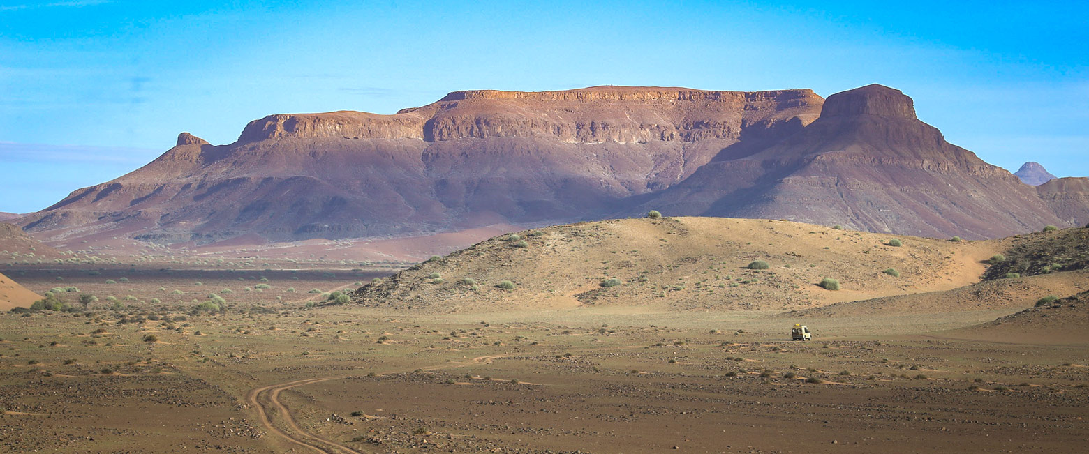let us know your thoughts about Namibia and we will help you create the perfect safari 