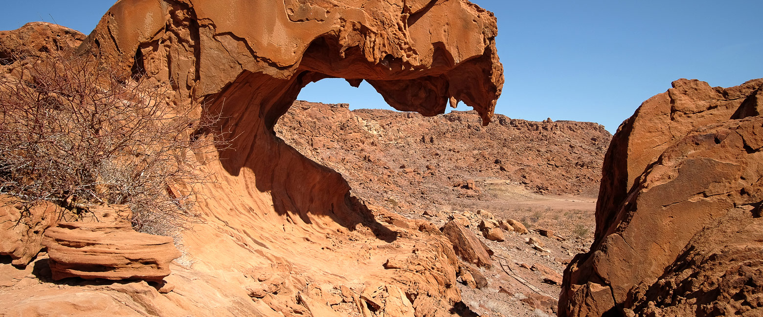 let us know your thoughts about Namibia and we will make sure to deliver the perfect safari