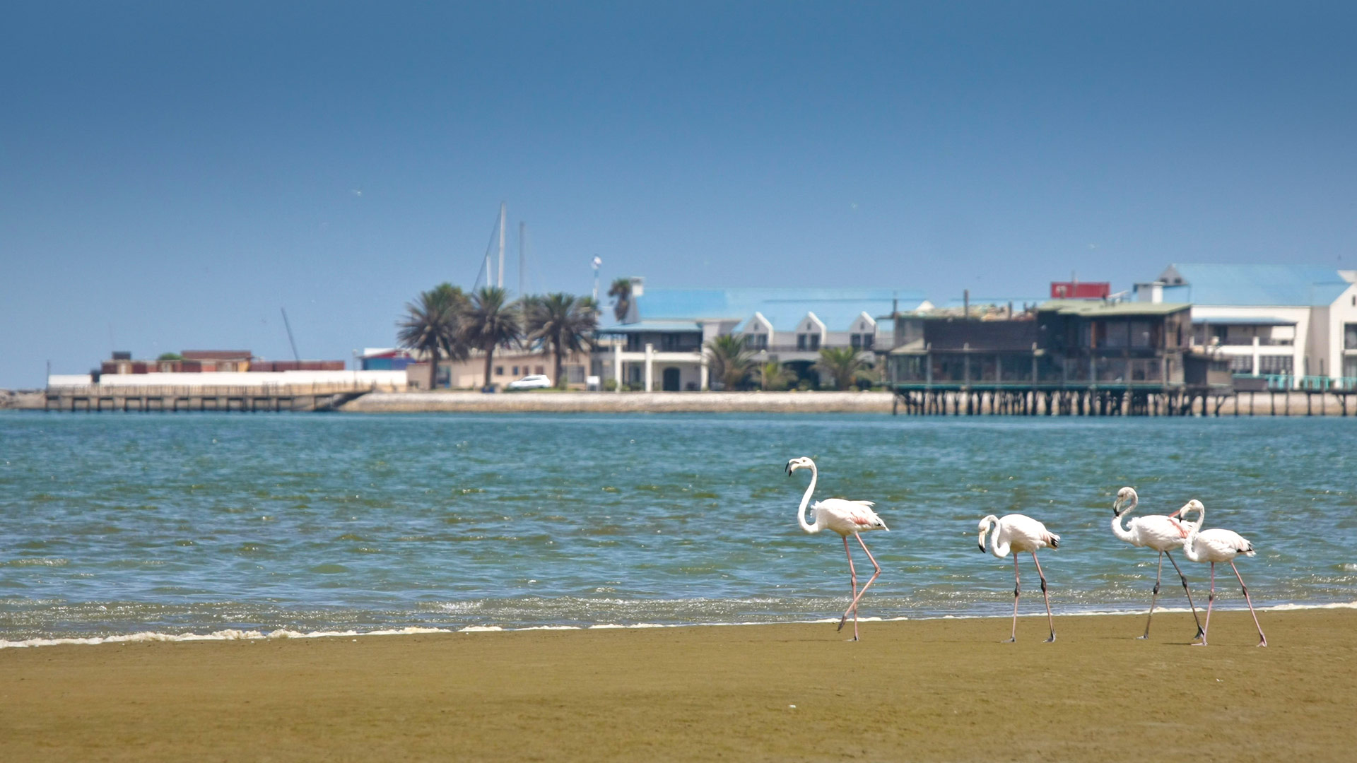 Travel to Walvis Bay