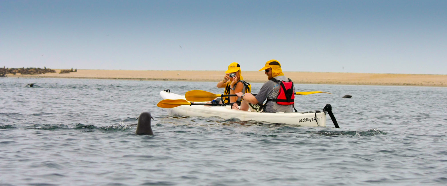 let us know your thoughts about Namibia and we will help you create the perfect safari