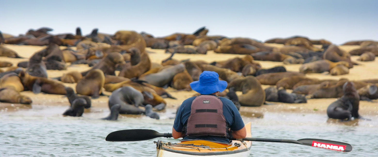 let us know your thoughts about Namibia and we will make sure to deliver the perfect safari 