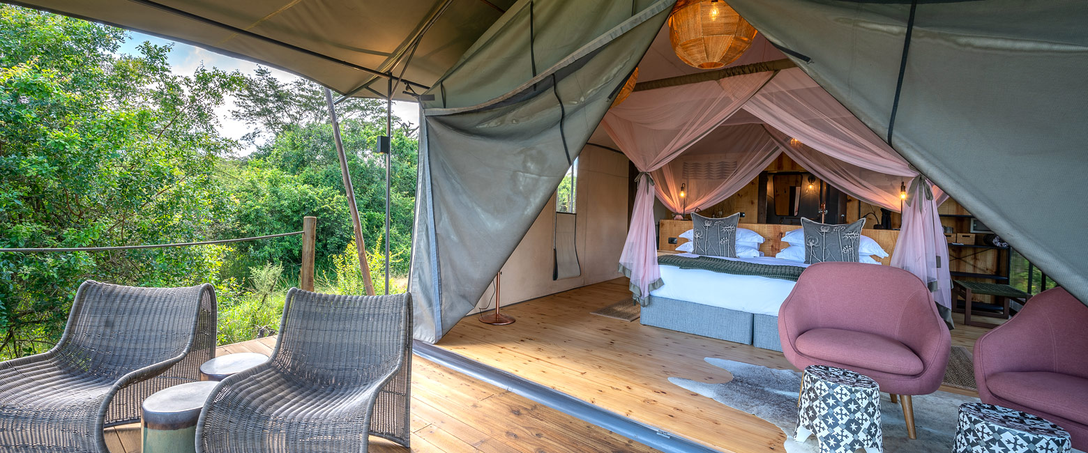 let us know your thoughts about Rwanda and we will help you create the perfect safari 