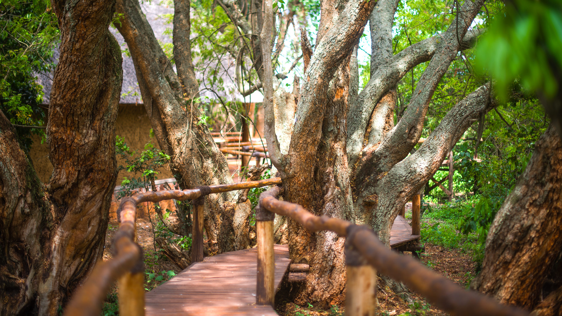 Ruzizi Tented Lodge