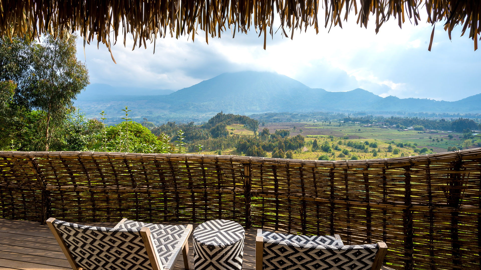 Bisate Reserve