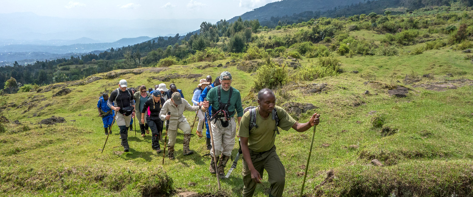 let us know your thoughts about Rwanda and we will help you create the perfect safari 