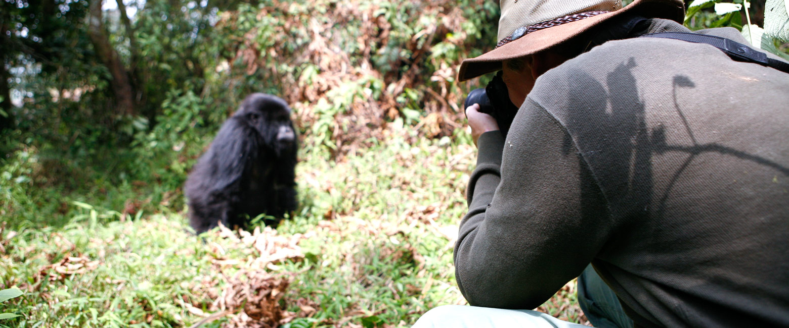 let us know your thoughts about Rwanda and we will help you create the perfect safari