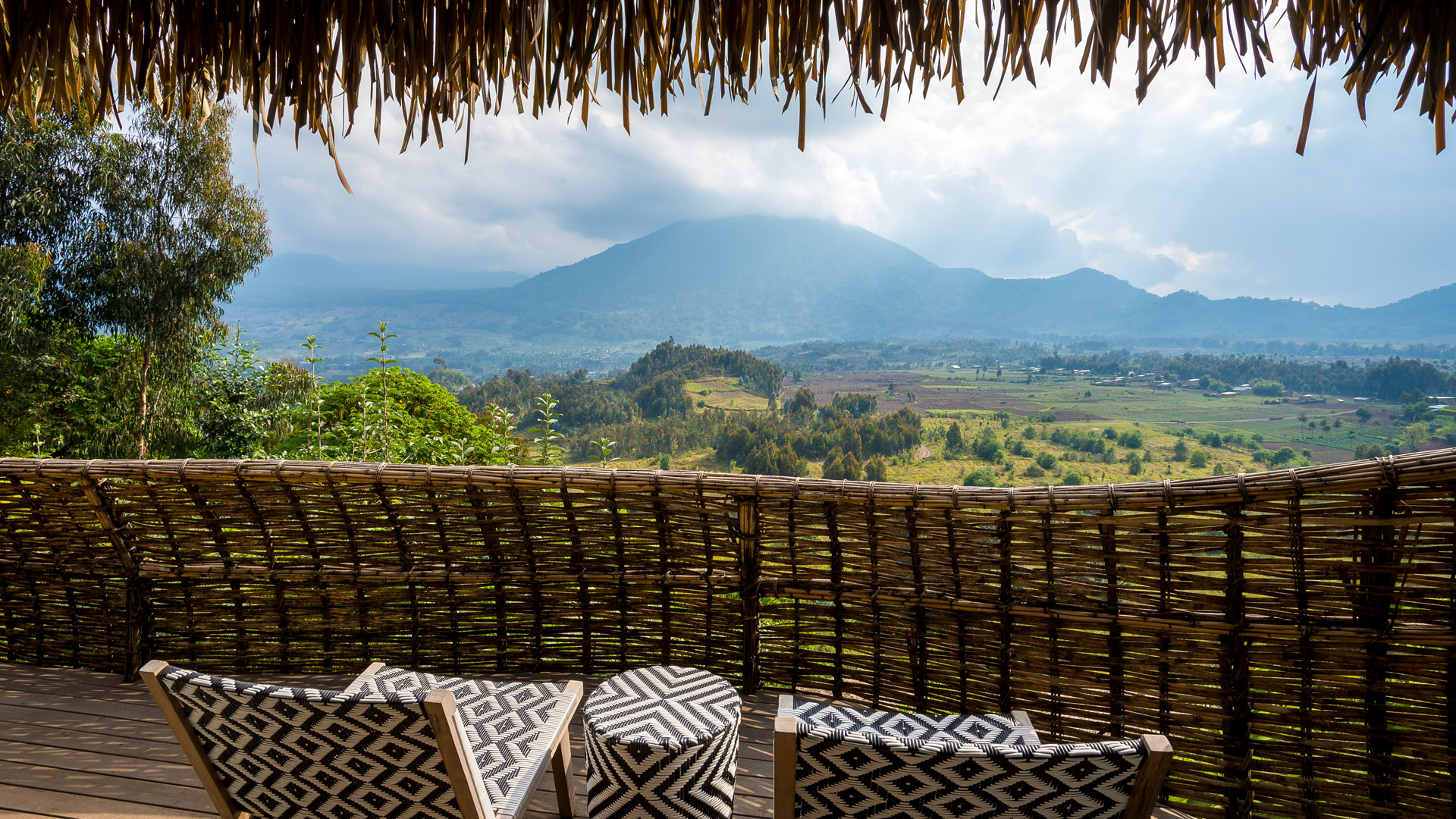 Bisate Reserve