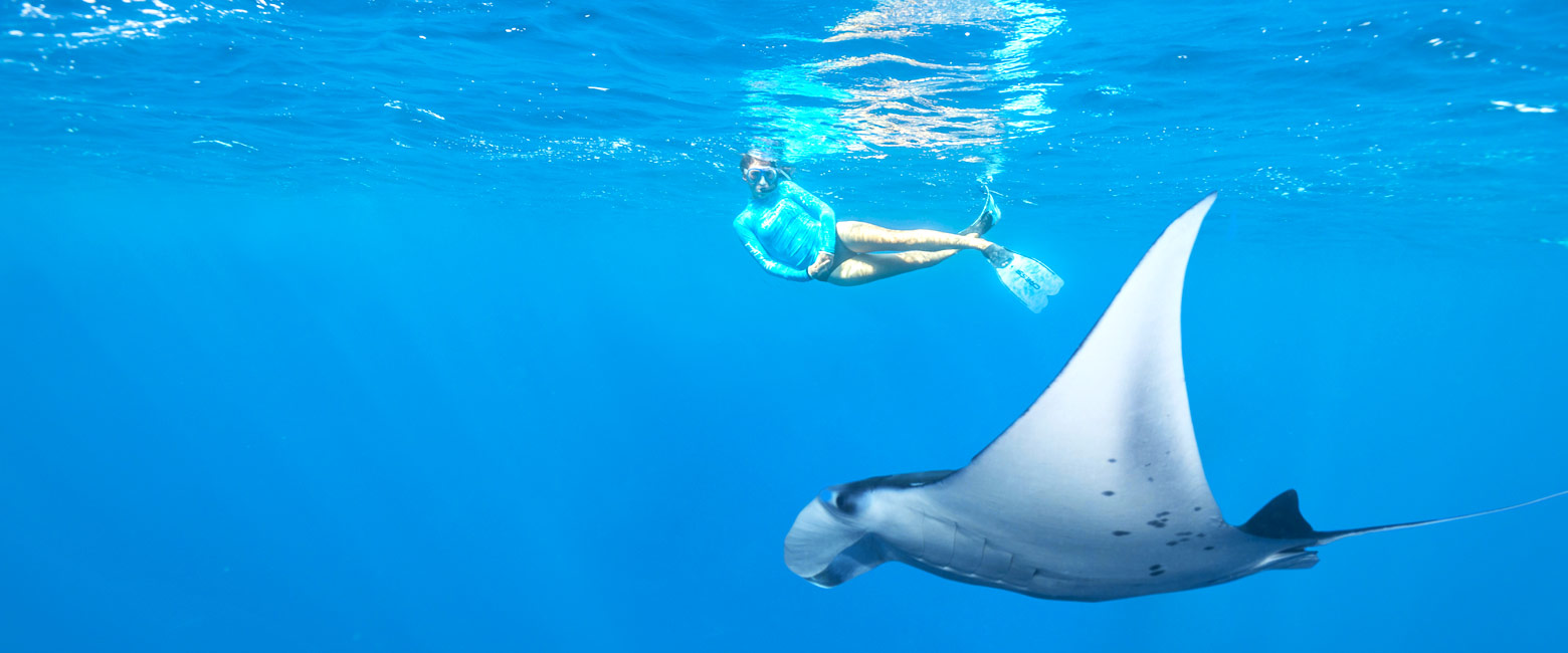 let us know your thoughts about the Seychelles and we will help you create the perfect safari