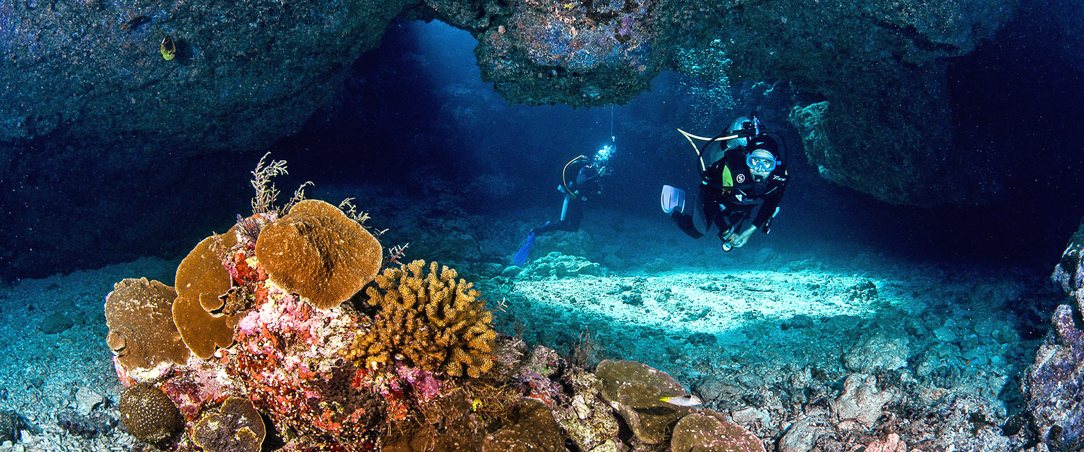let us know your thoughts about the Seychelles and we will help you create the perfect safari 