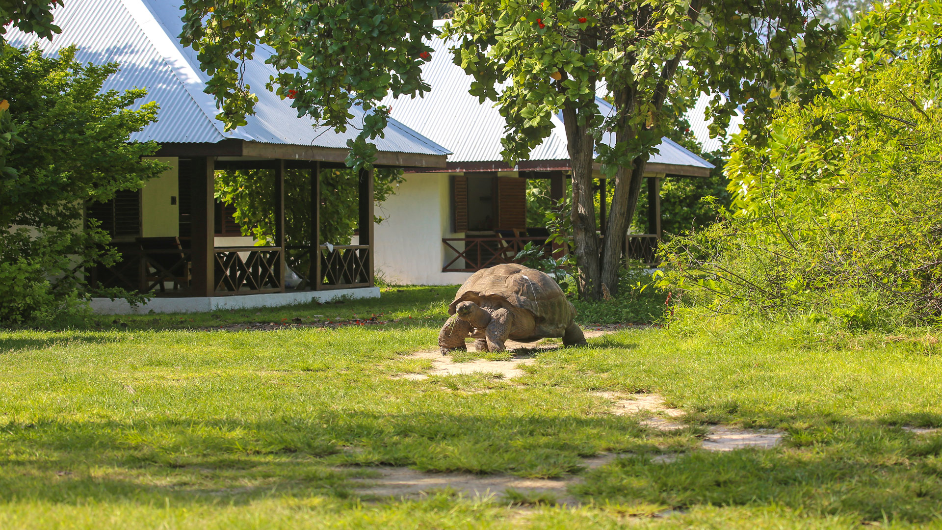 Bird Island Lodge