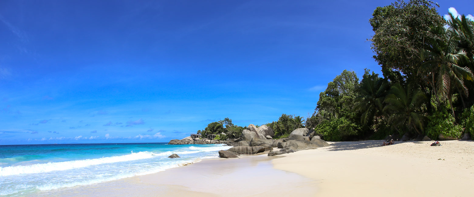 let us know your thoughts about the Seychelles and we will help you create the perfect safari