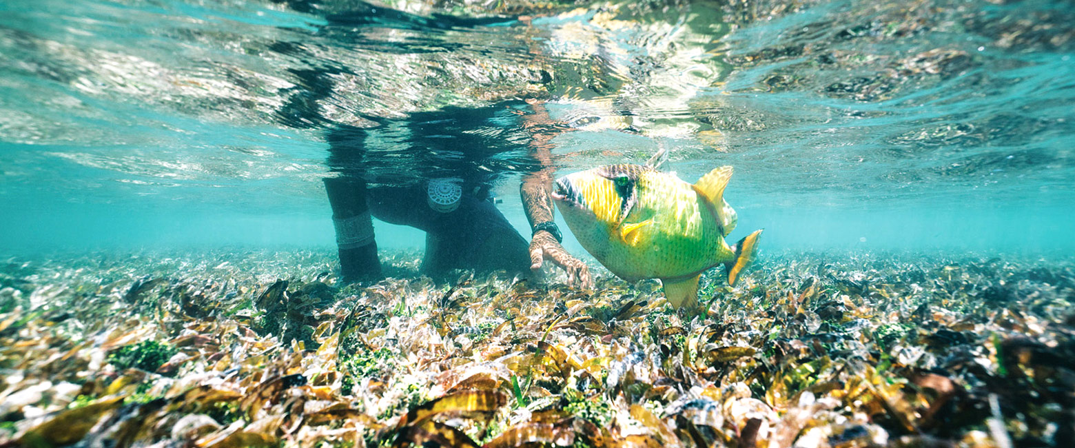 let us know your thoughts about the Seychelles and we will help you create the perfect safari