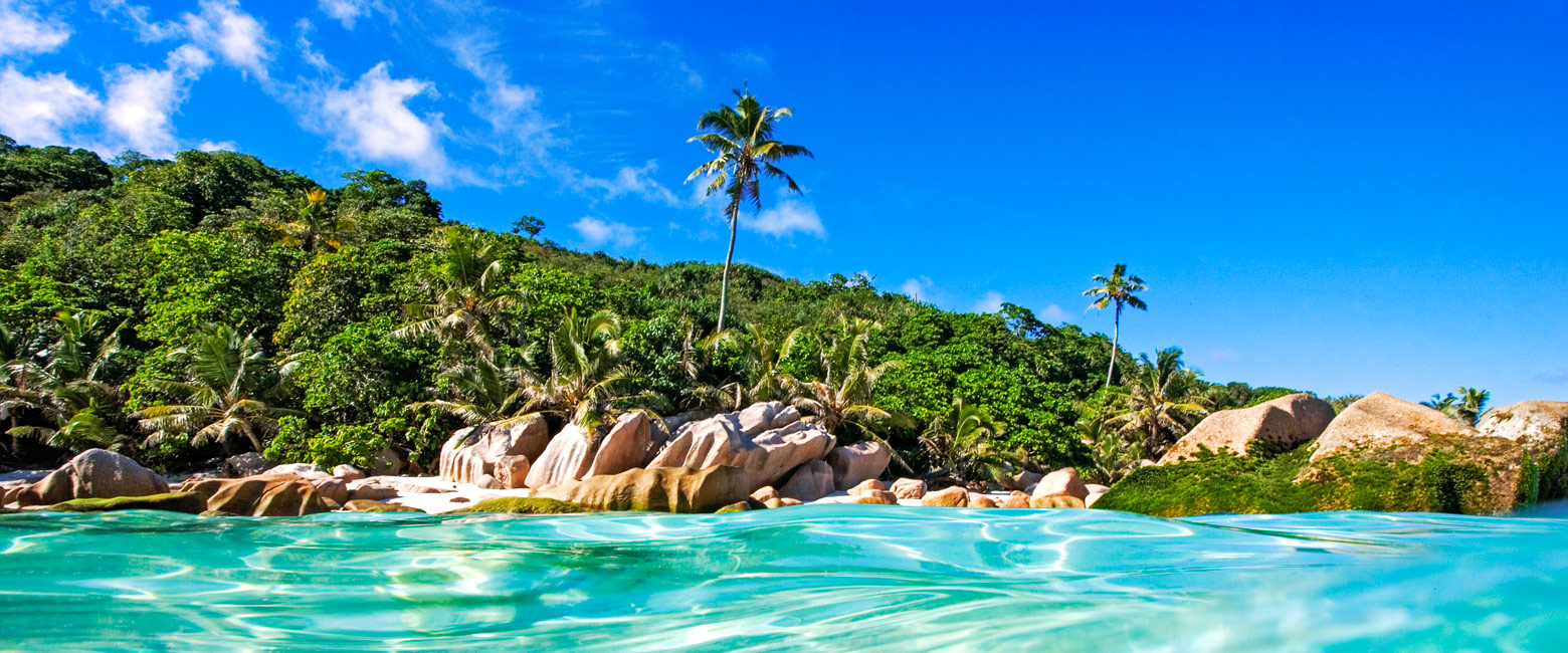 let us know your thoughts about the Seychelles and we will help you create the perfect safari