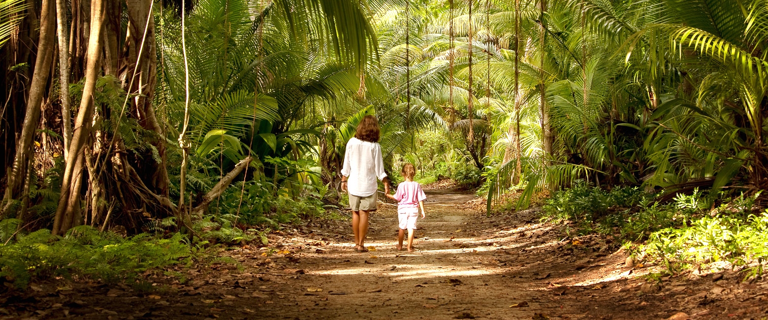 let us know your thoughts about the Seychelles and we will make sure to deliver the perfect safari 