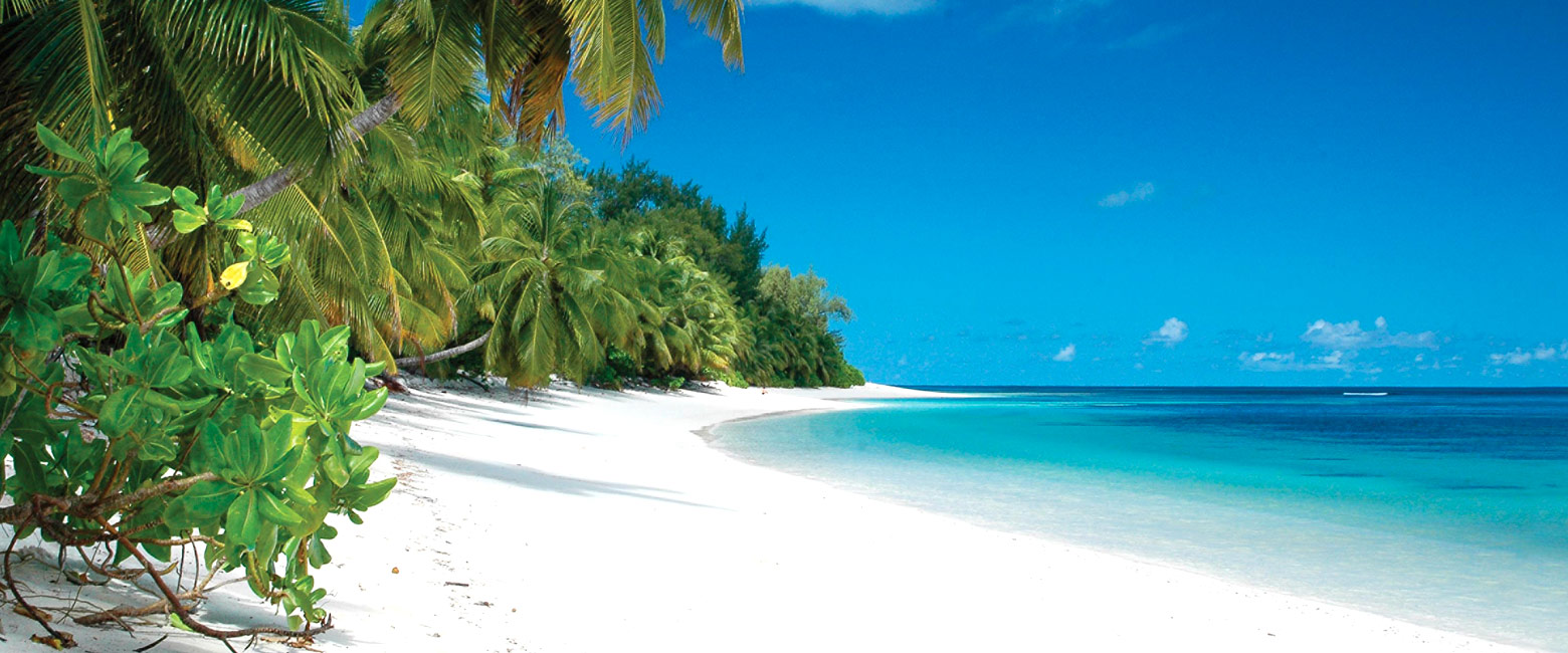 let us know your thoughts about the Seychelles and we will help you create the perfect safari