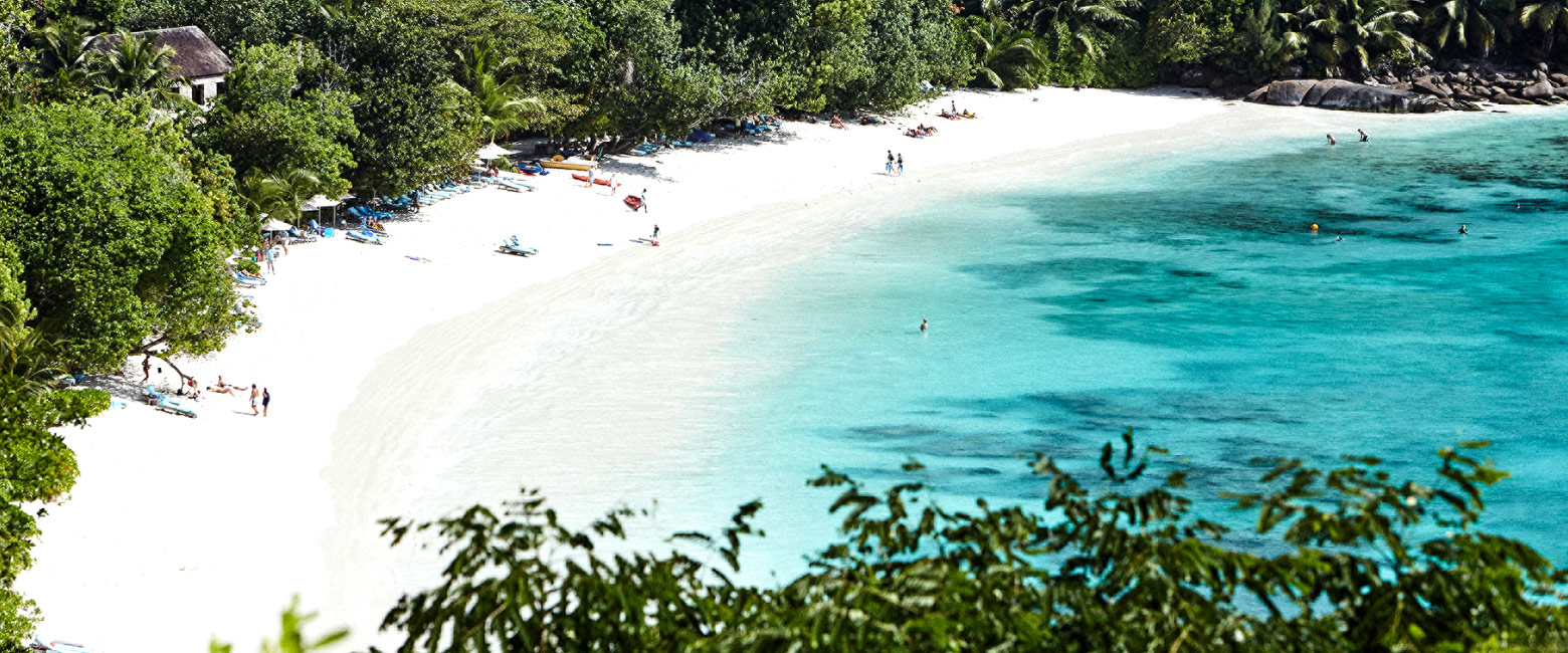 let us know your thoughts about the Seychelles and we will help you create the perfect safari