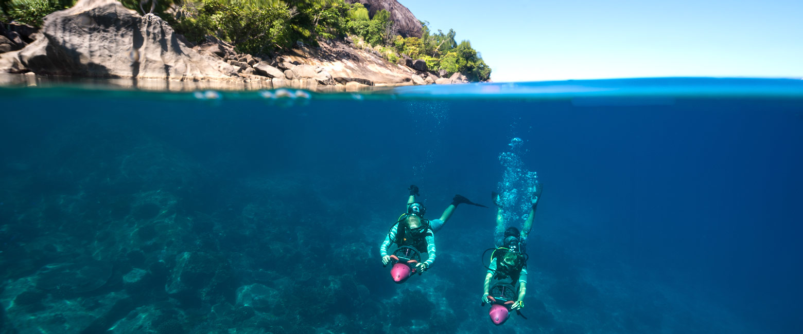 let us know your thoughts about the Seychelles and we will help you create the perfect safari